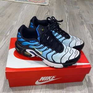 Nike Air Max Plus